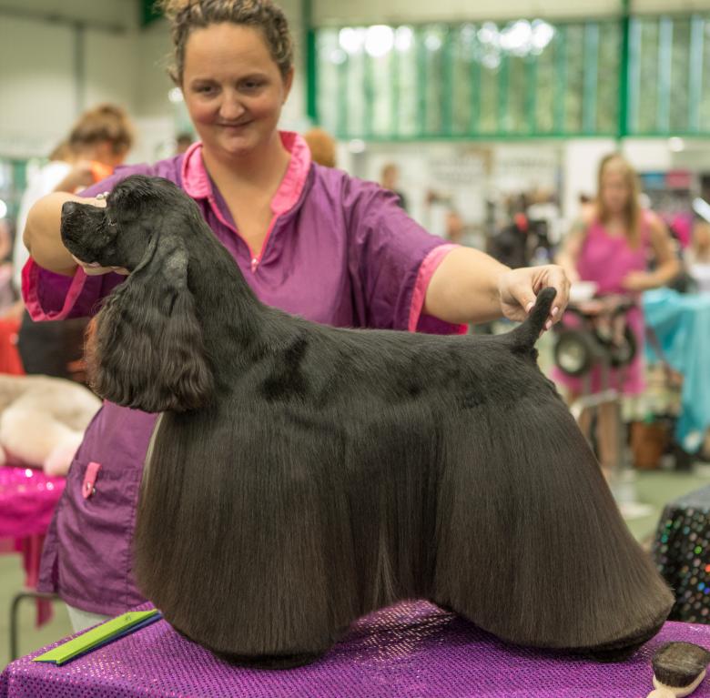 1 Day Dog Grooming Masterclass UK Grooming Courses