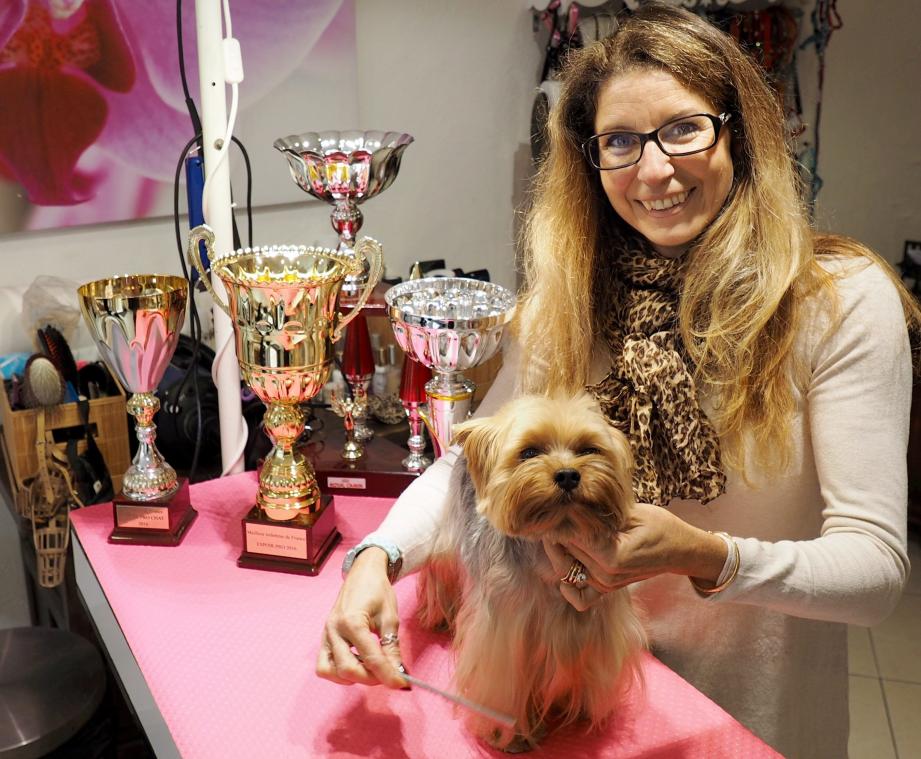 Qualified Freelance Training Instructor UK Grooming Courses