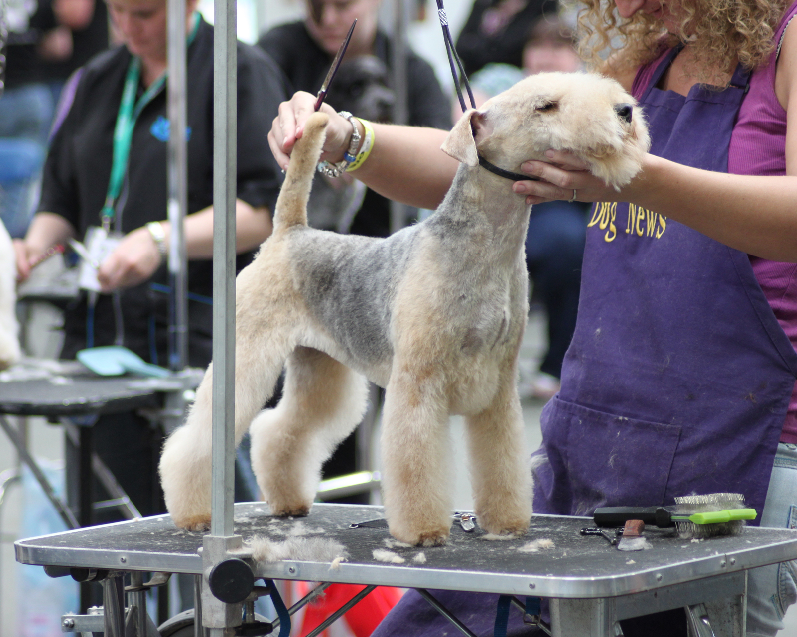 OCN Level 3 Professional Dog Grooming Course 603/0891/6 UK Grooming