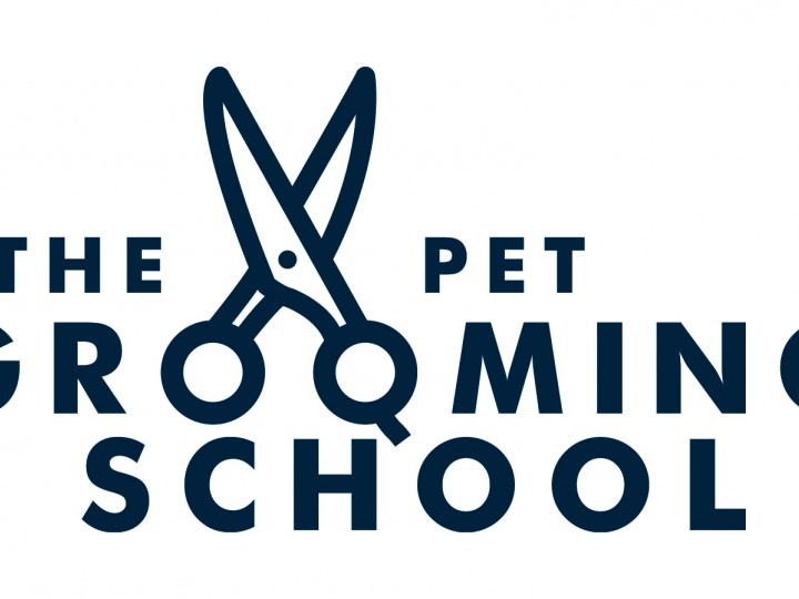 9 Dog Grooming Courses Available in London UK Grooming Courses